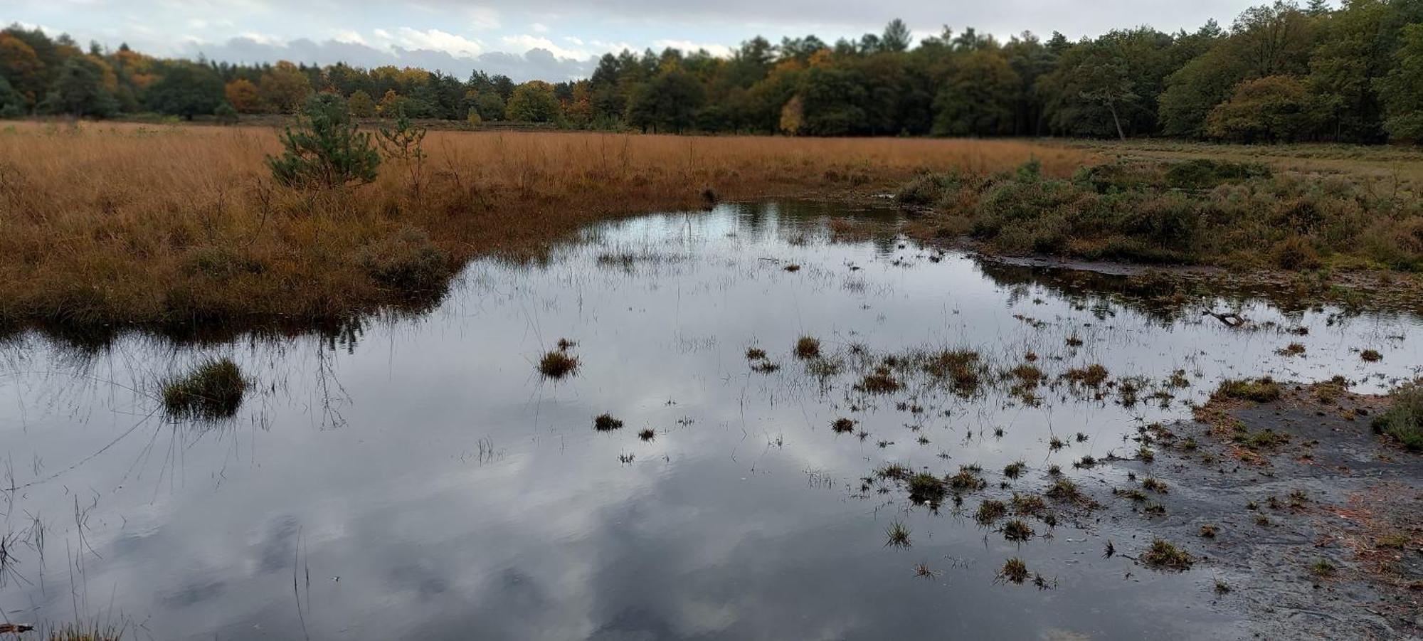 Mooi Drenthe Villa Wezuperbrug Buitenkant foto