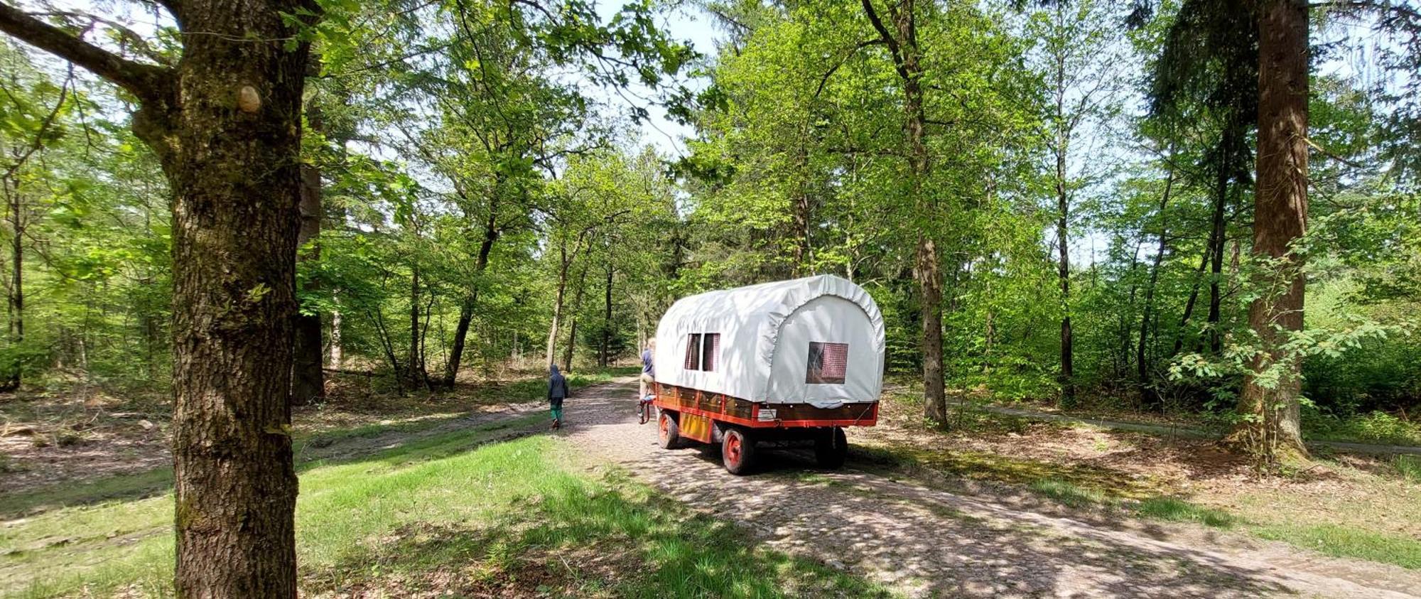 Mooi Drenthe Villa Wezuperbrug Buitenkant foto